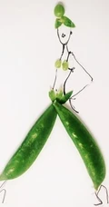 来源于生活的创意图片 美食和手绘的完美结合
