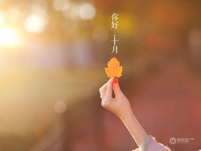 秋天的景色意境图片-你好，金秋十月