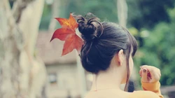 唯美女生背影高清电脑壁纸