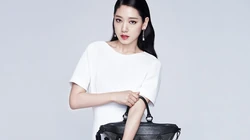 美女明星朴信惠气质写真壁纸下载