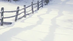 森林里的白雪电脑壁纸下载