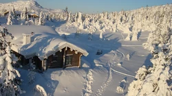森林里的白雪电脑壁纸下载
