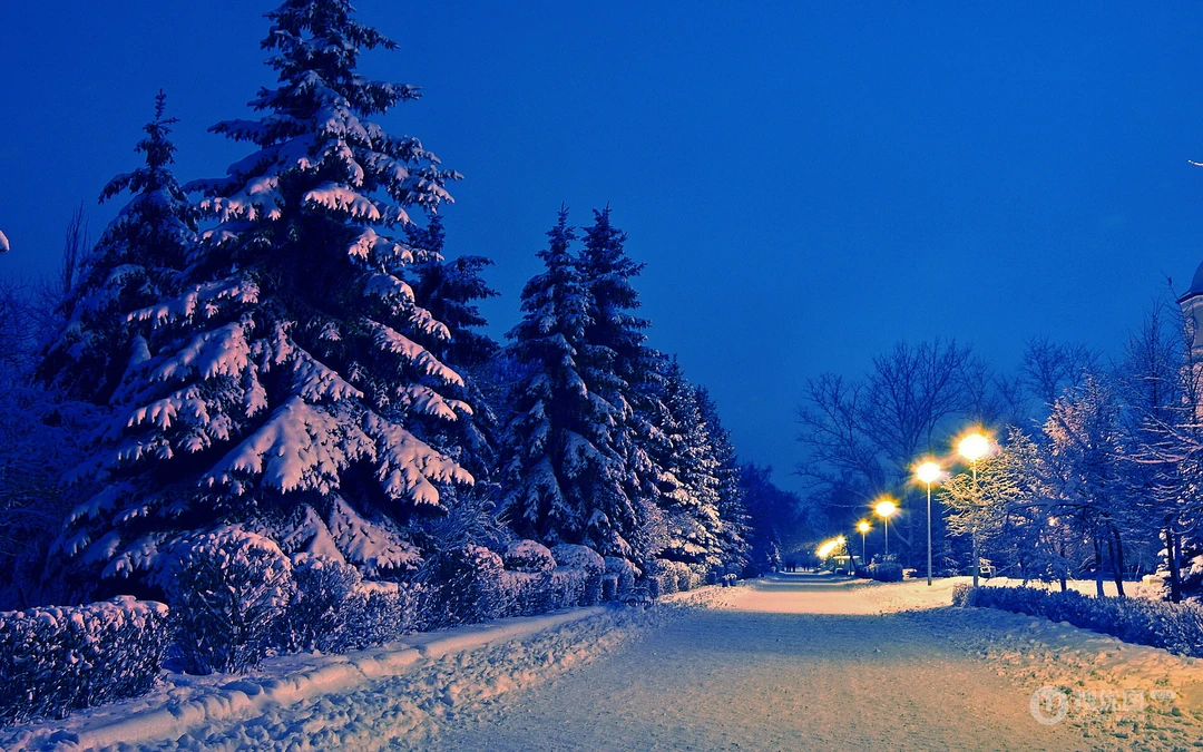 森林里的白雪电脑壁纸下载