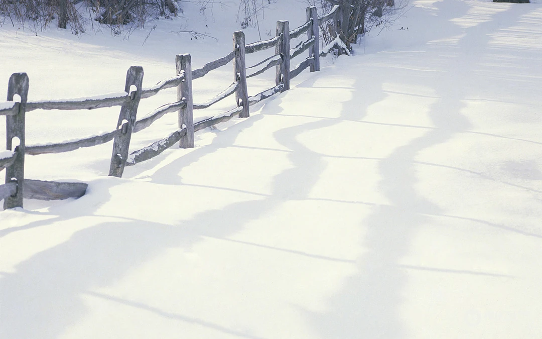 森林里的白雪电脑壁纸下载