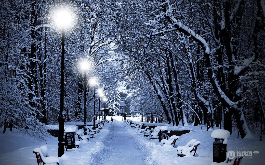 森林里的白雪电脑壁纸下载