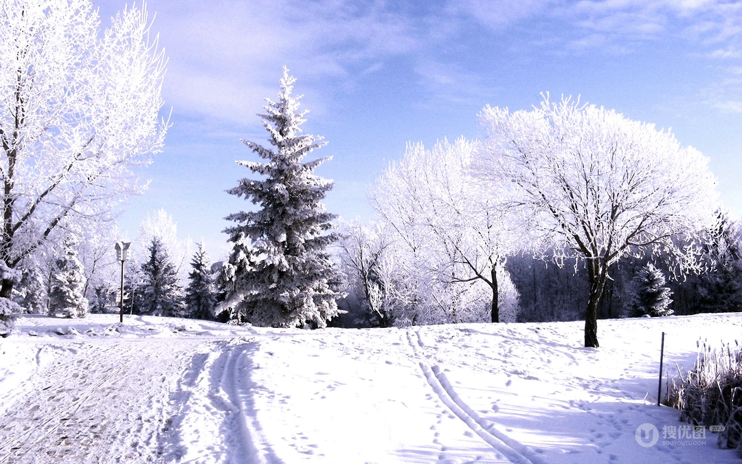 森林里的白雪电脑壁纸下载