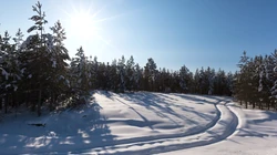 森林里的白雪电脑壁纸下载