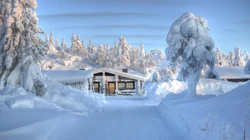 森林里的白雪电脑壁纸下载