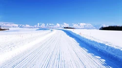 森林里的白雪电脑壁纸下载