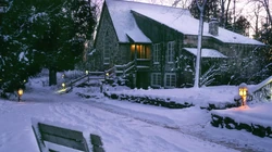 森林里的白雪电脑壁纸下载