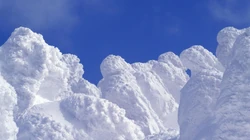 下雪了！白雪风景高清壁纸套图