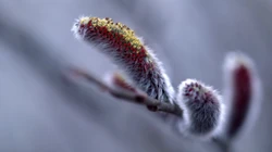 下雪了！白雪风景高清壁纸套图