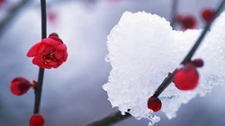 下雪了！白雪风景高清壁纸套图