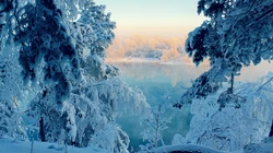 下雪了！白雪风景高清壁纸套图