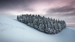 下雪了！白雪风景高清壁纸套图