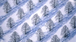 下雪了！白雪风景高清壁纸套图