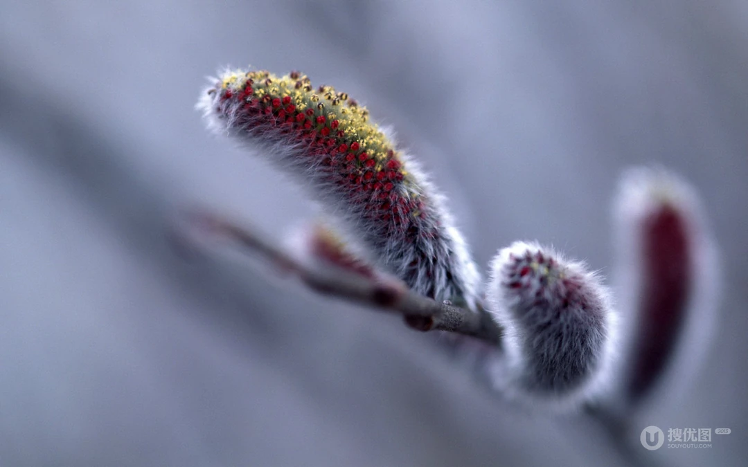 下雪了！白雪风景高清壁纸套图