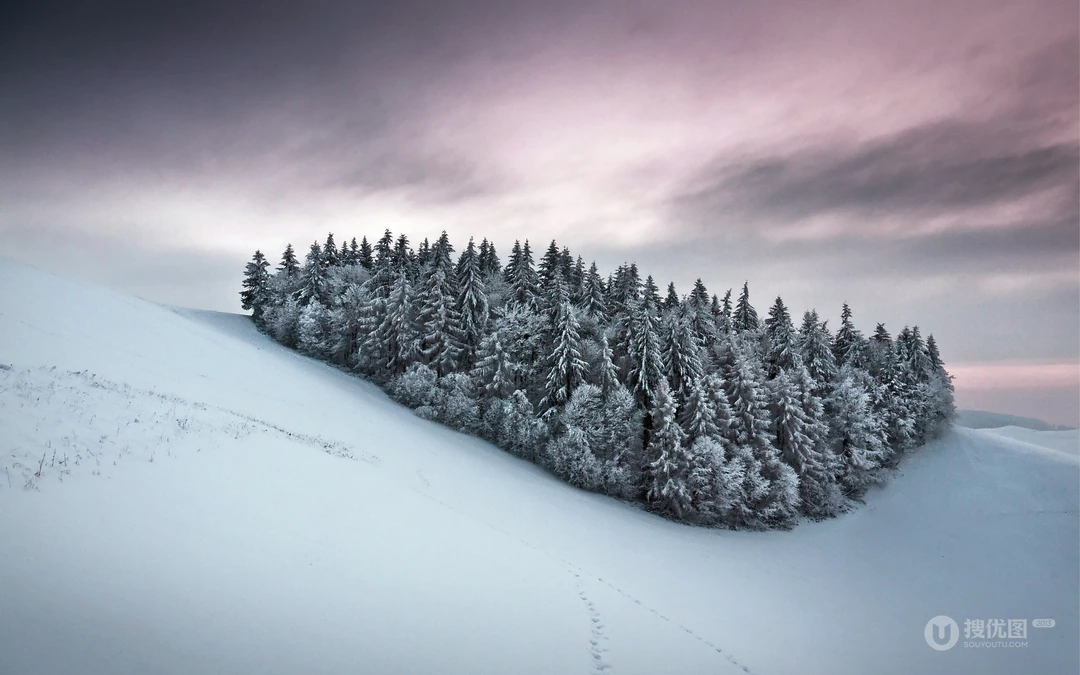 下雪了！白雪风景高清壁纸套图
