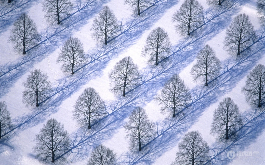 下雪了！白雪风景高清壁纸套图