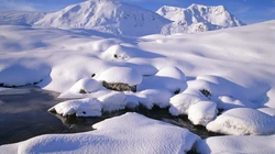 下雪了！白雪风景高清壁纸套图