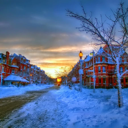 圣洁轻盈的初雪-唯美初冬雪景图片
