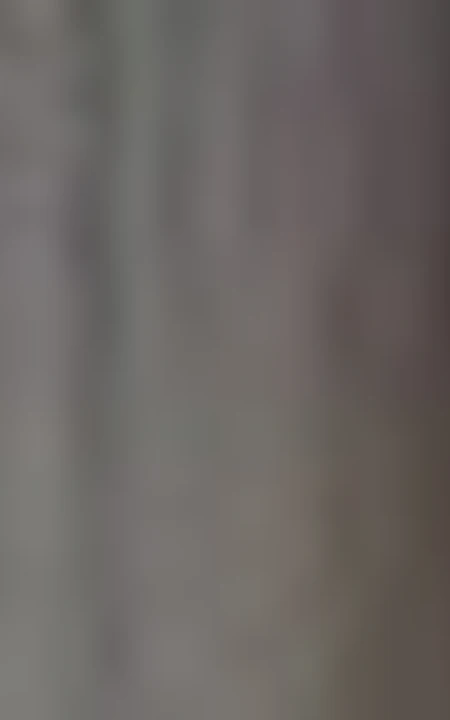 草根女生模特们的辛酸-几张图片你就能看懂！