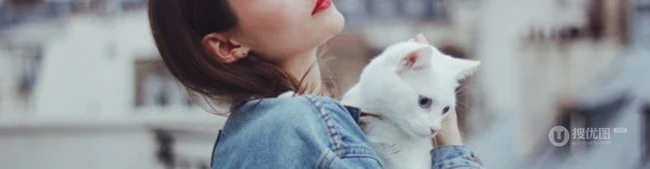 贴心猫咪可爱图片-拥有你的快乐时光 第4张