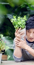 百合花暖男乔任梁-鲜花型男暖暖的