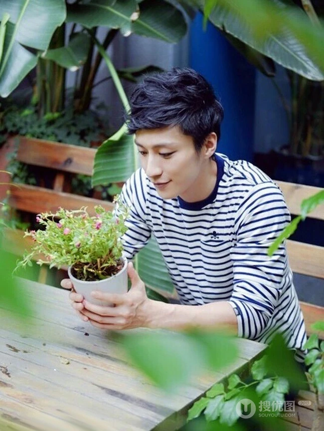 百合花暖男乔任梁-鲜花型男暖暖的