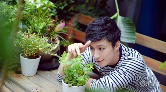 百合花暖男乔任梁-鲜花型男暖暖的