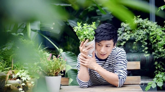 百合花暖男乔任梁-鲜花型男暖暖的