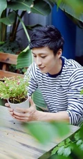 百合花暖男乔任梁-鲜花型男暖暖的