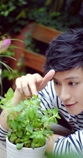 百合花暖男乔任梁-鲜花型男暖暖的