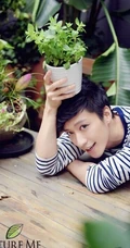 百合花暖男乔任梁-鲜花型男暖暖的
