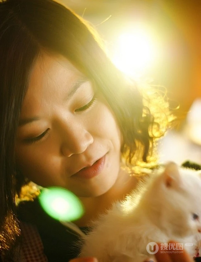 有只小猫-咖啡馆里的可爱小猫咪图片 第15张