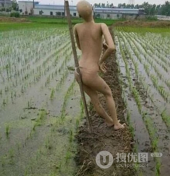 搜优笑转-那些笑死人的事 第1张
