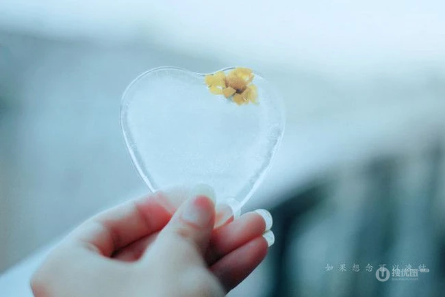 清新唯美的文字图片&ldquo;如果想念可以封存&rdquo;
