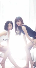闺房模特姐妹-清凉清新气质的闺蜜高清室内写真