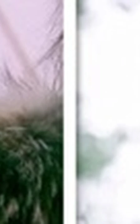 翻版侧脸林依晨-新人少女胡冰卿与林依晨对比图片