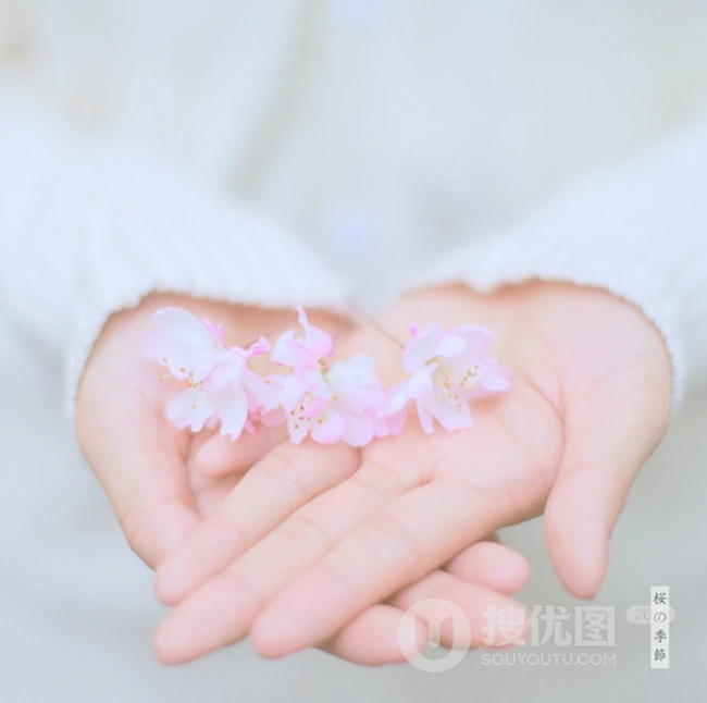 清新女孩的樱花季 唯美清新日系文艺风格女孩美图
