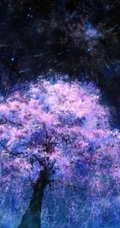 梦幻唯美绚丽的光影图片-或许就是北极光