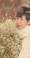 阳光小帅哥TFBOYS清新唯美在雪中写真