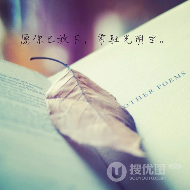 一张美图 一段美文-深秋的记忆