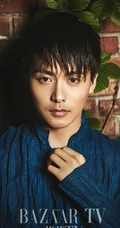 帅哥马天宇《芭莎Tv》封面图片 精致五官立体似油画