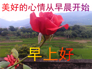 早上好动态图片，带文字的早上好动态GIF图片 第5张