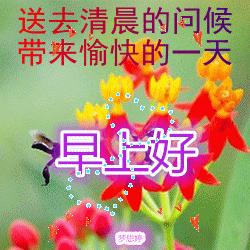 早上好动态图片，带文字的早上好动态GIF图片 第6张