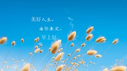 唯美清新的小花小草清晨早安文字壁纸图片