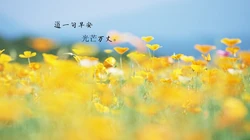 唯美清新的小花小草清晨早安文字壁纸图片