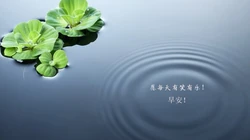 唯美清新的小花小草清晨早安文字壁纸图片