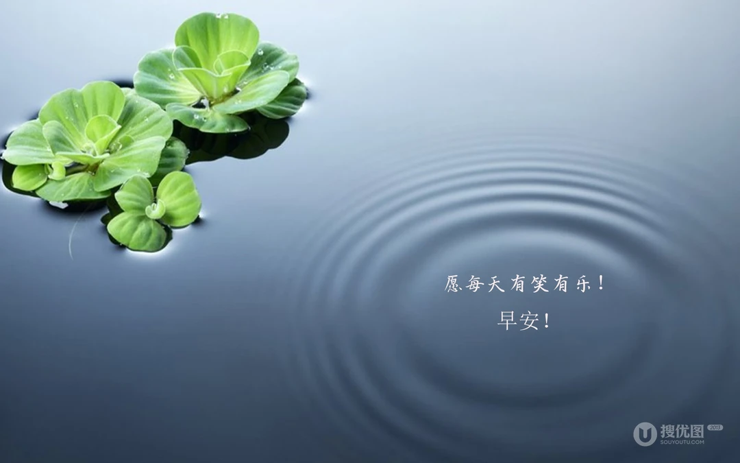 唯美清新的小花小草清晨早安文字壁纸图片